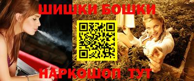 МДПВ Бийск