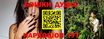 МДПВ Бийск