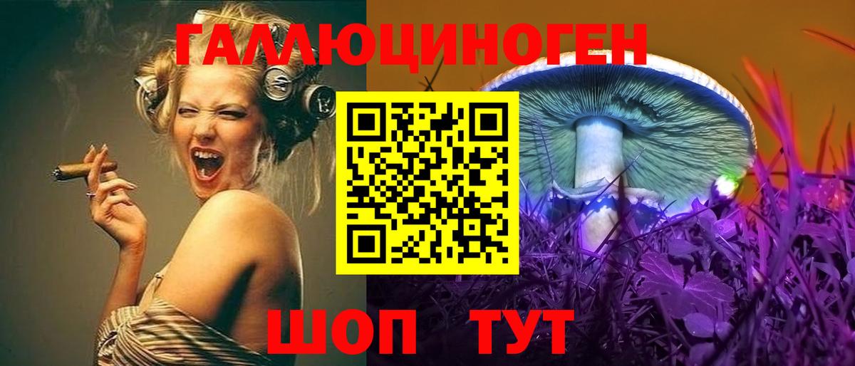 Галлюциногенные грибы Cubensis Жуковский