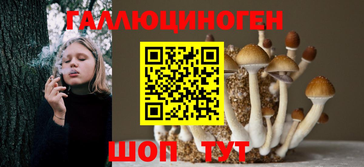 Жуковский  Псилоцибиновые грибы Magic Shrooms  Вход с VPN 